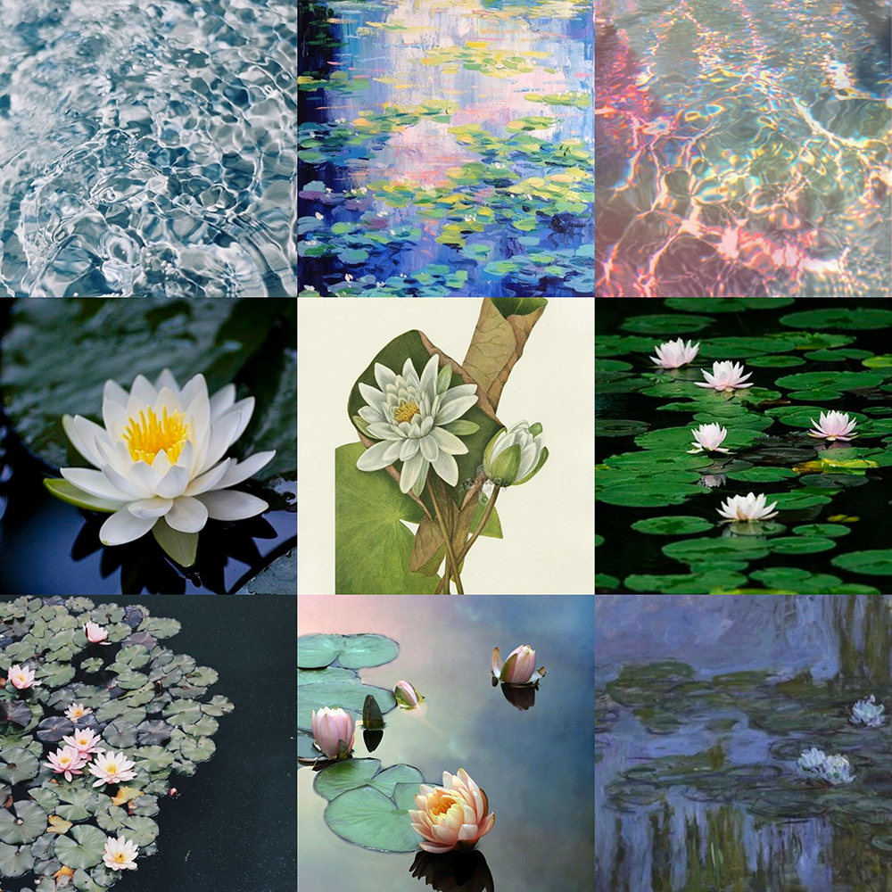Waterlily flowers, water, and wave references