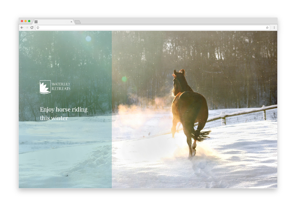 Winter website banner